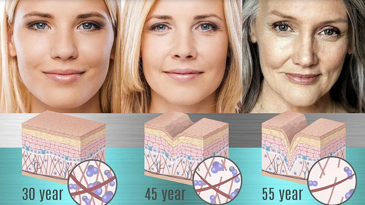 تأثیر پپتیدها و SH-Oligopeptide-1 بر پوست در محصولات آرایشی